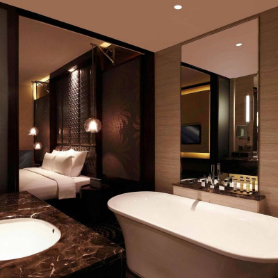Pullman New Delhi Aerocity image
