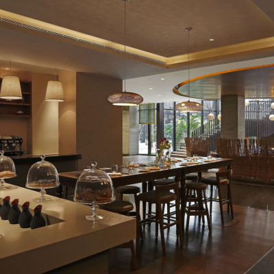 Pullman New Delhi Aerocity image