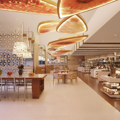 Pullman New Delhi Aerocity image