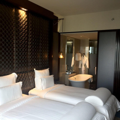 Pullman New Delhi Aerocity image