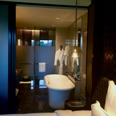 Pullman New Delhi Aerocity image