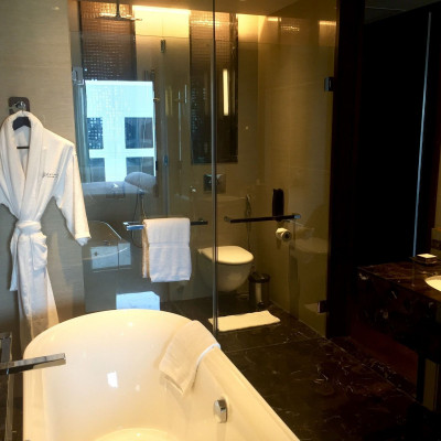 Pullman New Delhi Aerocity image