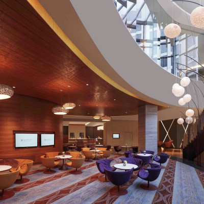 Pullman New Delhi Aerocity image