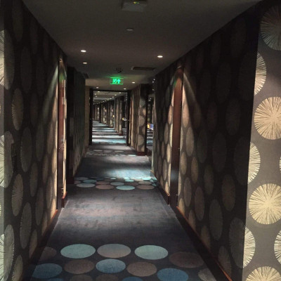 Pullman New Delhi Aerocity image