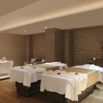 Pullman New Delhi Aerocity image