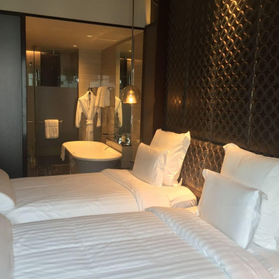 Pullman New Delhi Aerocity image
