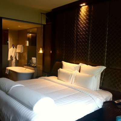 Pullman New Delhi Aerocity image