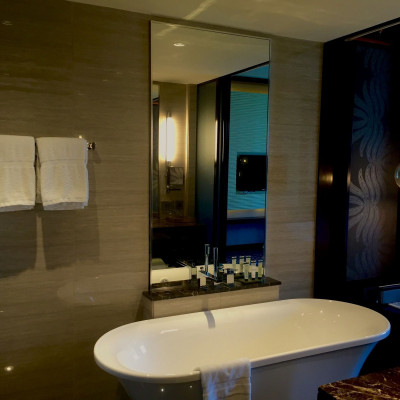 Pullman New Delhi Aerocity image