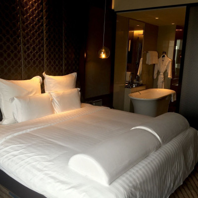 Pullman New Delhi Aerocity image