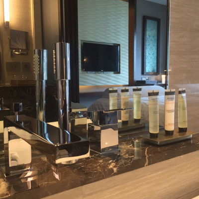 Pullman New Delhi Aerocity image