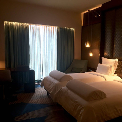 Pullman New Delhi Aerocity image