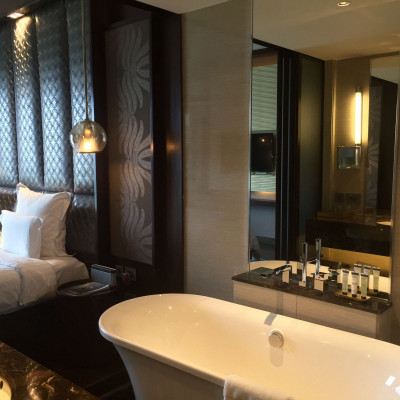Pullman New Delhi Aerocity image