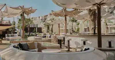 The Palm Club