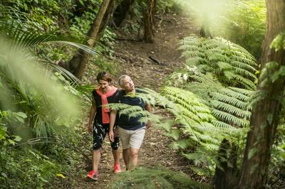 Bush Walk