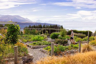 Kitchen Garden