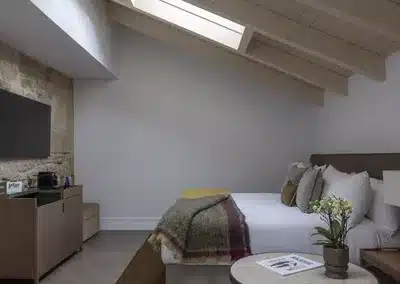 Junior Suite Attic