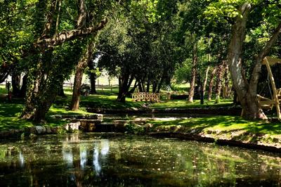 Gardens