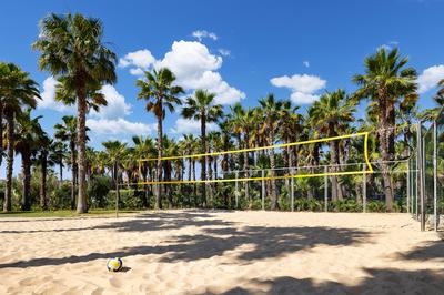 Volleyball