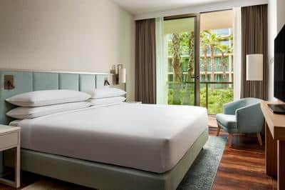 1 Bedroom Suite