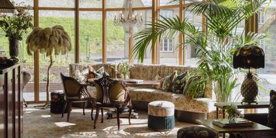 The Palm Room