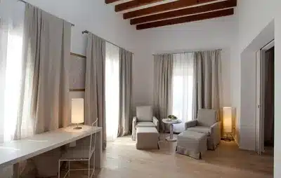 Luxury Suite with Terrace