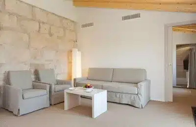 Luxury Suite with Terrace