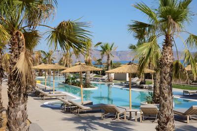 THE PALM CLUB