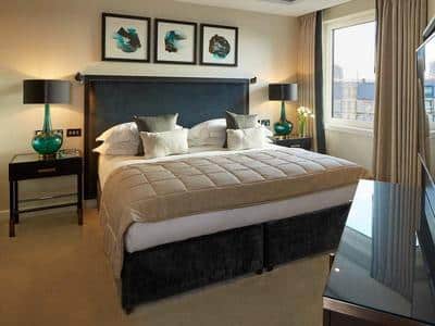 Superior One Bedroom Apartment