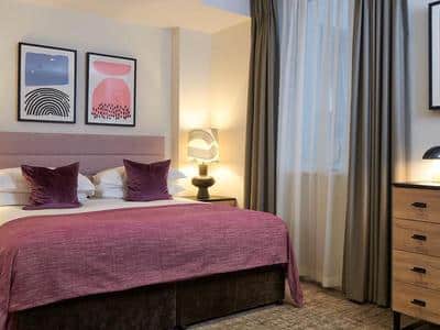 Luxury One Bedroom Apartment with Sofa Bed