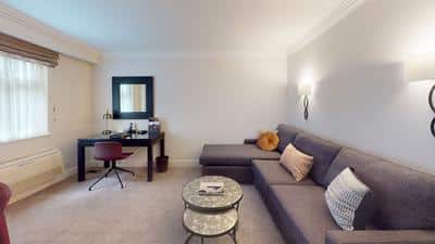 Luxury One Bedroom Apartment