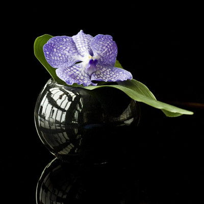 The St Regis Shenzhen image