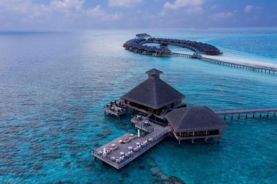 SALT Restaurant