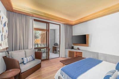 Deluxe Guest Room, 1 King, Olivos View
