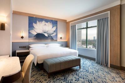 Larger Suite, 1 King