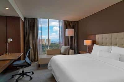 Deluxe Room, 1 King