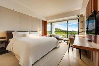 Guest Room, 1 King, Mountain View