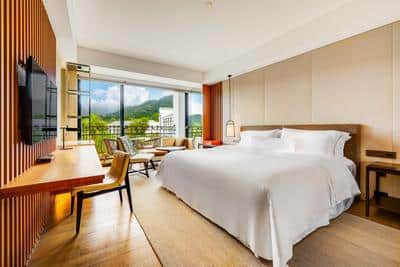 Guest Room, 1 King, Resort View