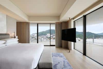 Panorama Suite -Distinct-