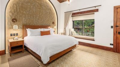 Guest Room, 1 King, Mountain View