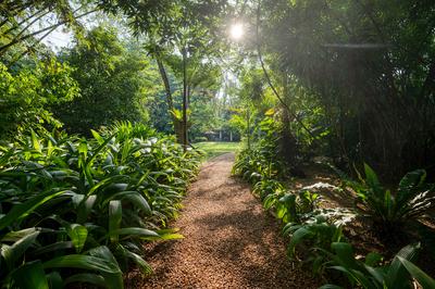 Gardens