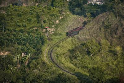 Demodera Loop