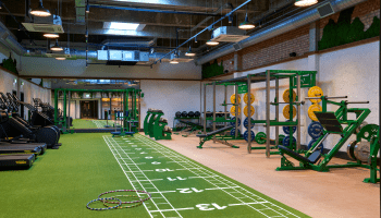 The Playground