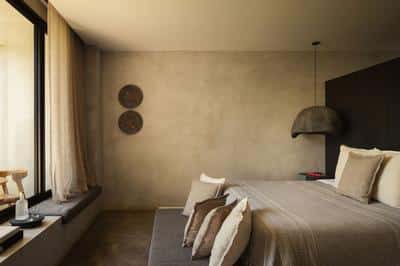 Selva Suite