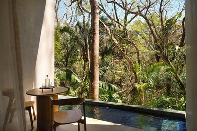 One Bedroom Villa with Private Plunge Pool