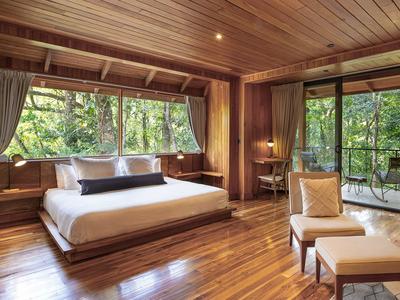 Cloud Forest Studio