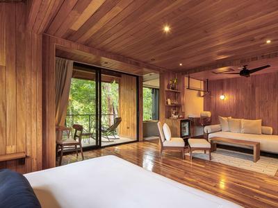 Cloud Forest Studio