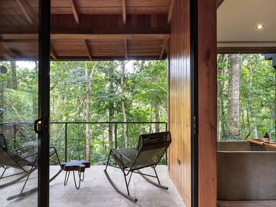Cloud Forest Studio