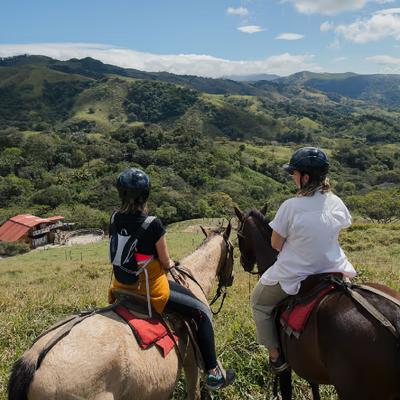 Horse Riding