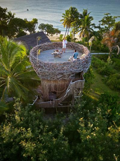 Bird's Nest Dining