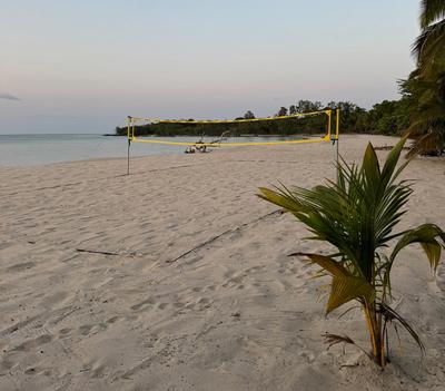 Volleyball